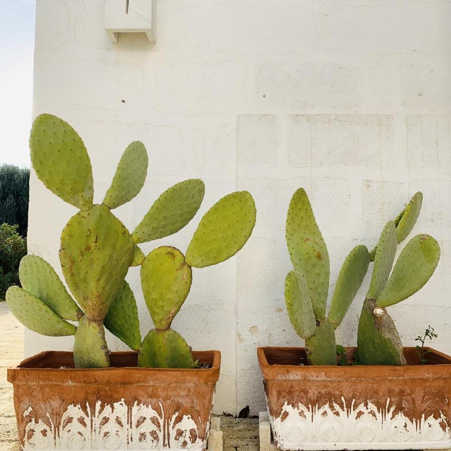 Masseria San Francesco Savelletri Esterno foto